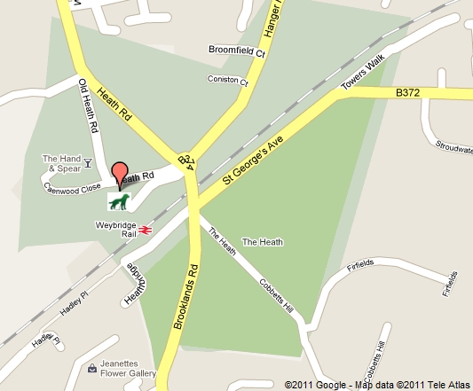 Location map for St George's Vet Practice In Weybridge